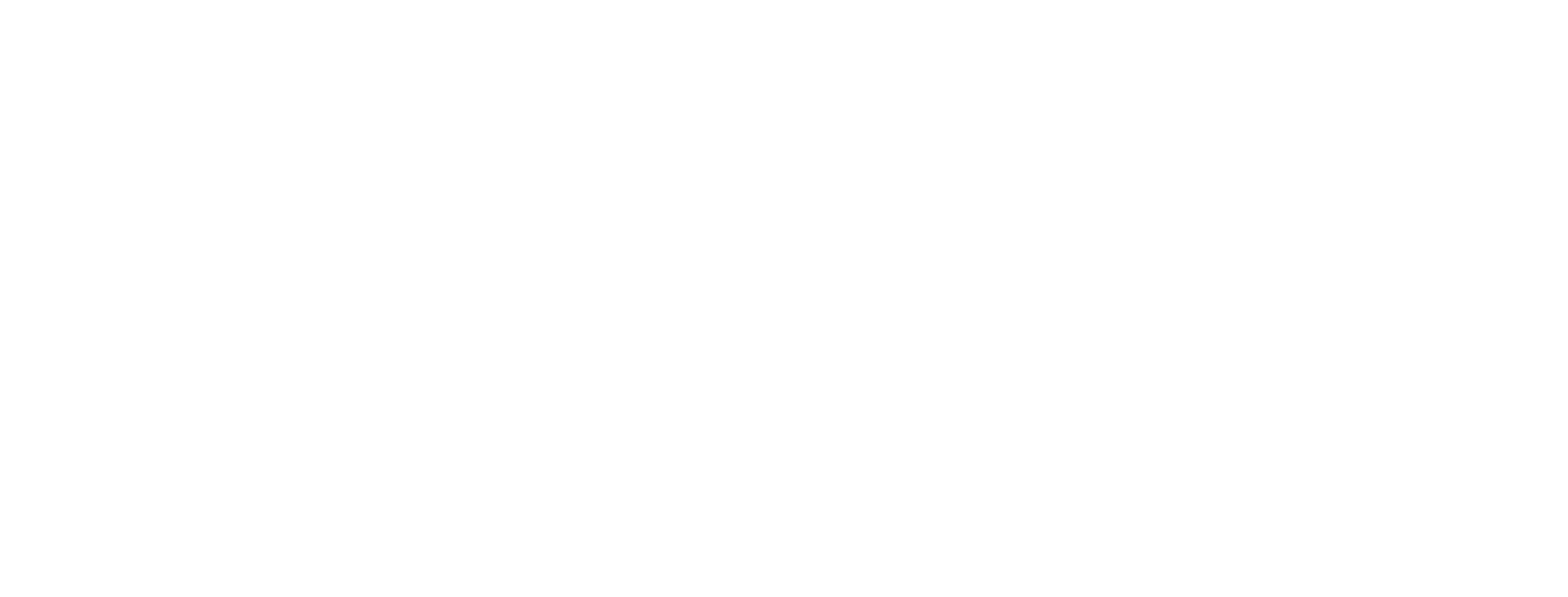 Scouts 17th West Lothian
