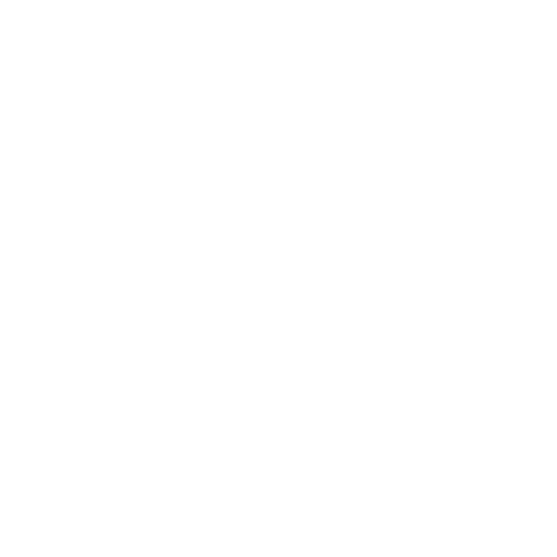Scout Section Logo